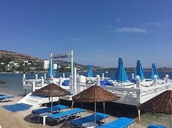 Lavinya غولتوركبوكو
